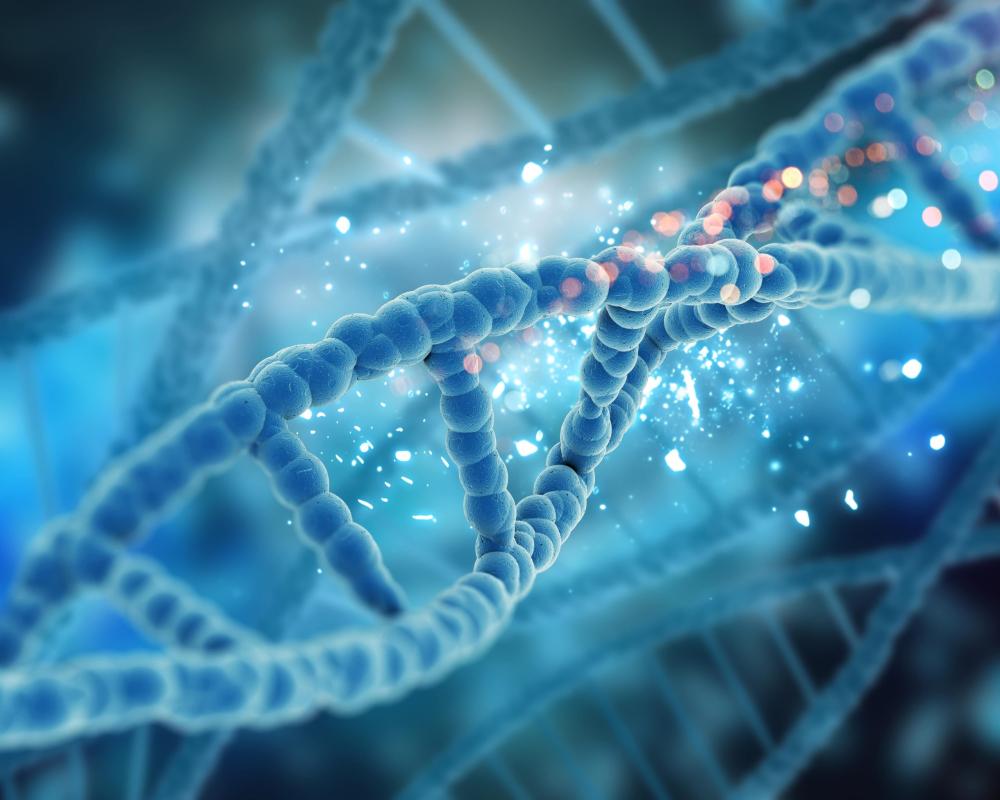 Új korszak a nőgyógyászati kivizsgálásban: Genetikai és mikrobiom vizsgálatok
